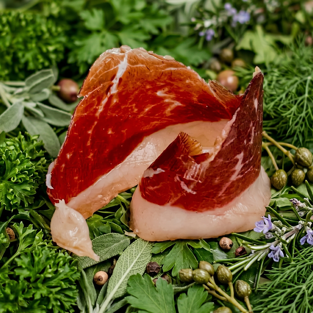 salaisons ibériques plateaux charcuteries jambon tranches jambon Espagnol pata-negra bellota 100% iberico